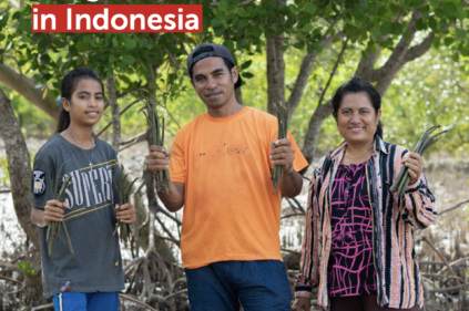 Inclusive Climate Finance : Improving Access for Marginalized Populations in Indonesia