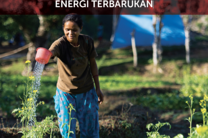 Buku Panduan Bagi Fasilitator: Pengarusutamaan Gender Dalam Kewirausahaan Energi Terbarukan